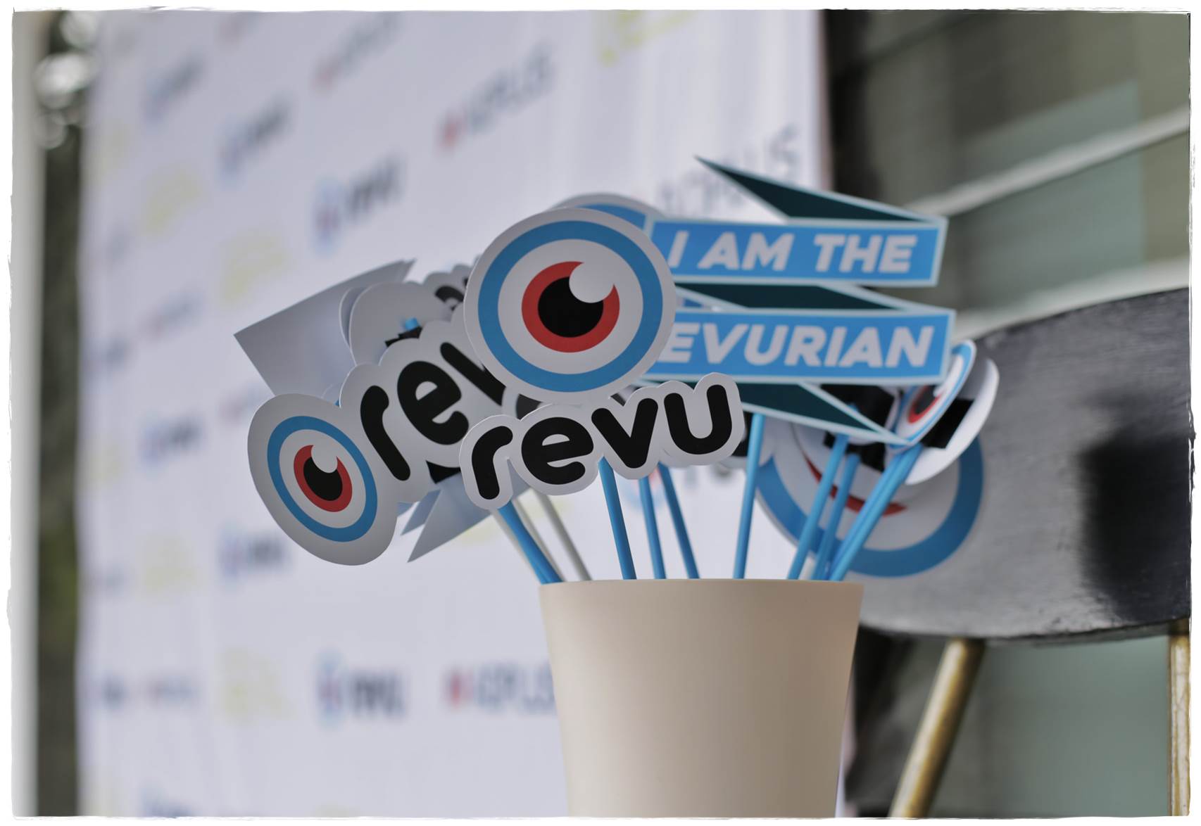 Revu 6