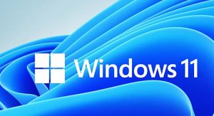 Windows 11